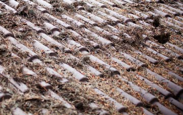 Dumbarton roof cleaning companies