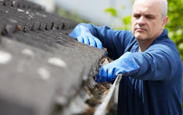 cleaning and inspecting Dumbarton roofs