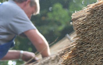 professional Dumbarton thatchers